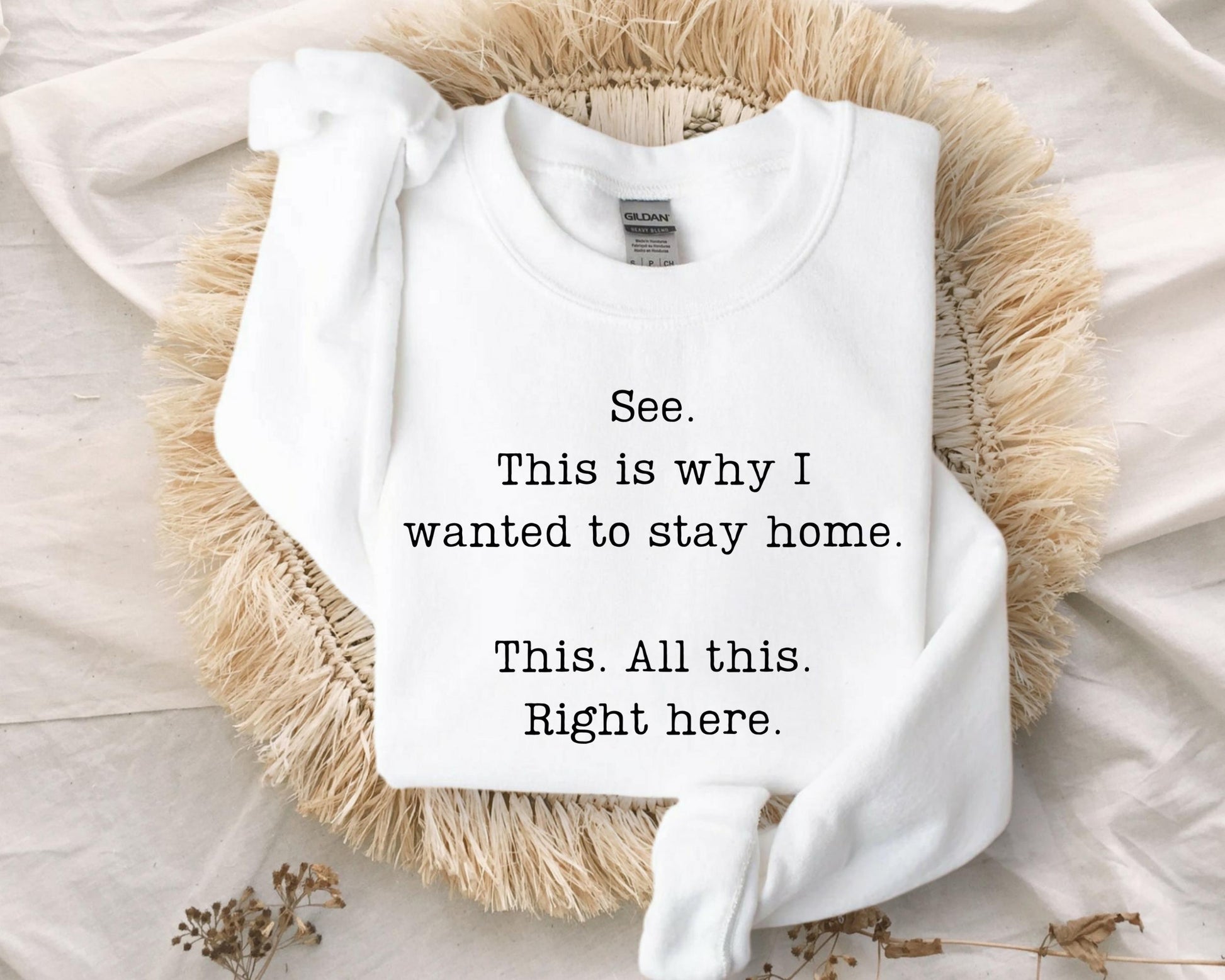 See This Is Why I Wanted to Stay Home Sweatshirt – Funny Sarcastic Saying Hoodie – Humorous Attitude Sweatshirt
