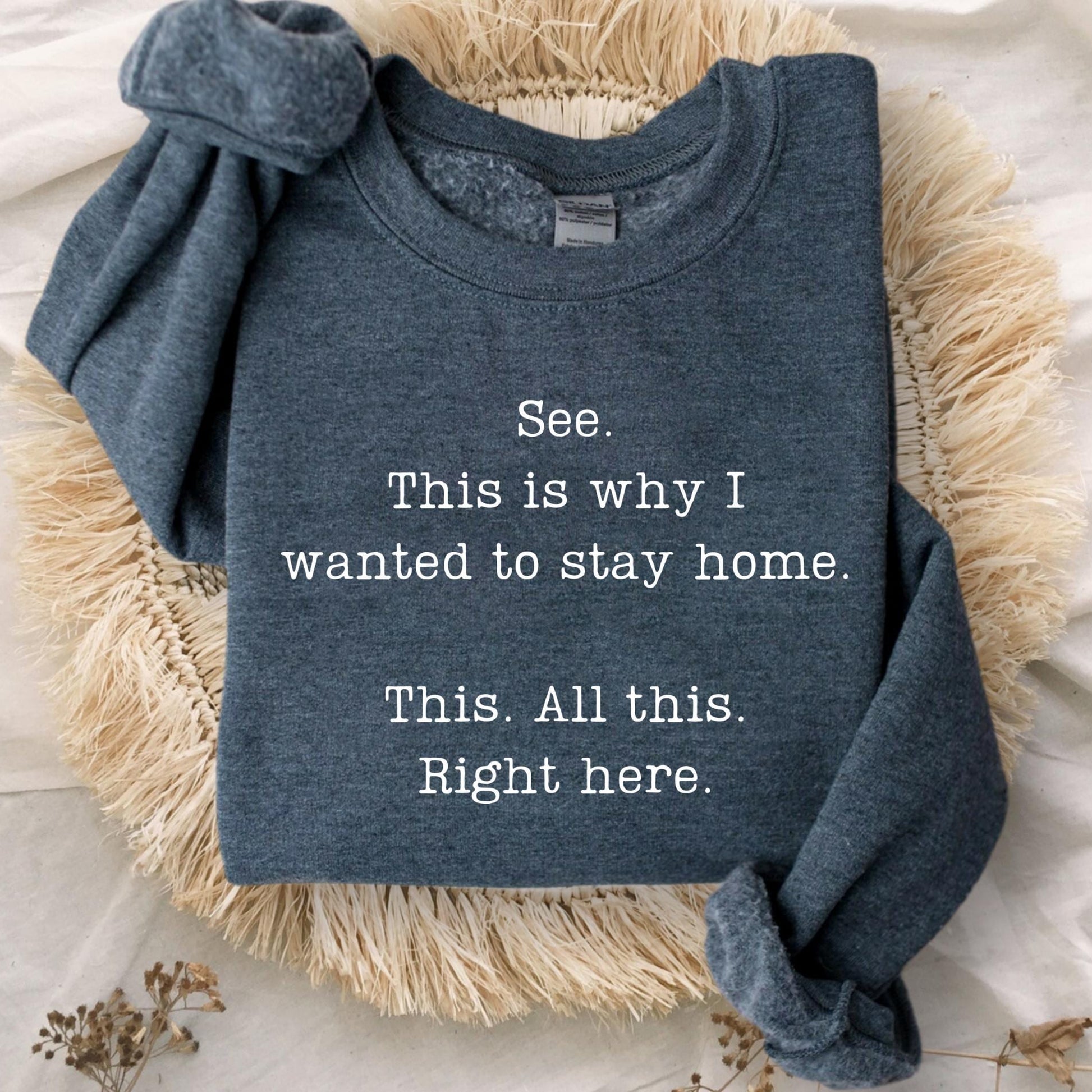 See This Is Why I Wanted to Stay Home Sweatshirt – Funny Sarcastic Saying Hoodie – Humorous Attitude Sweatshirt