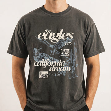 Vintage Eagle Graphic Tee – Aesthetic Retro Screenprint T-Shirt