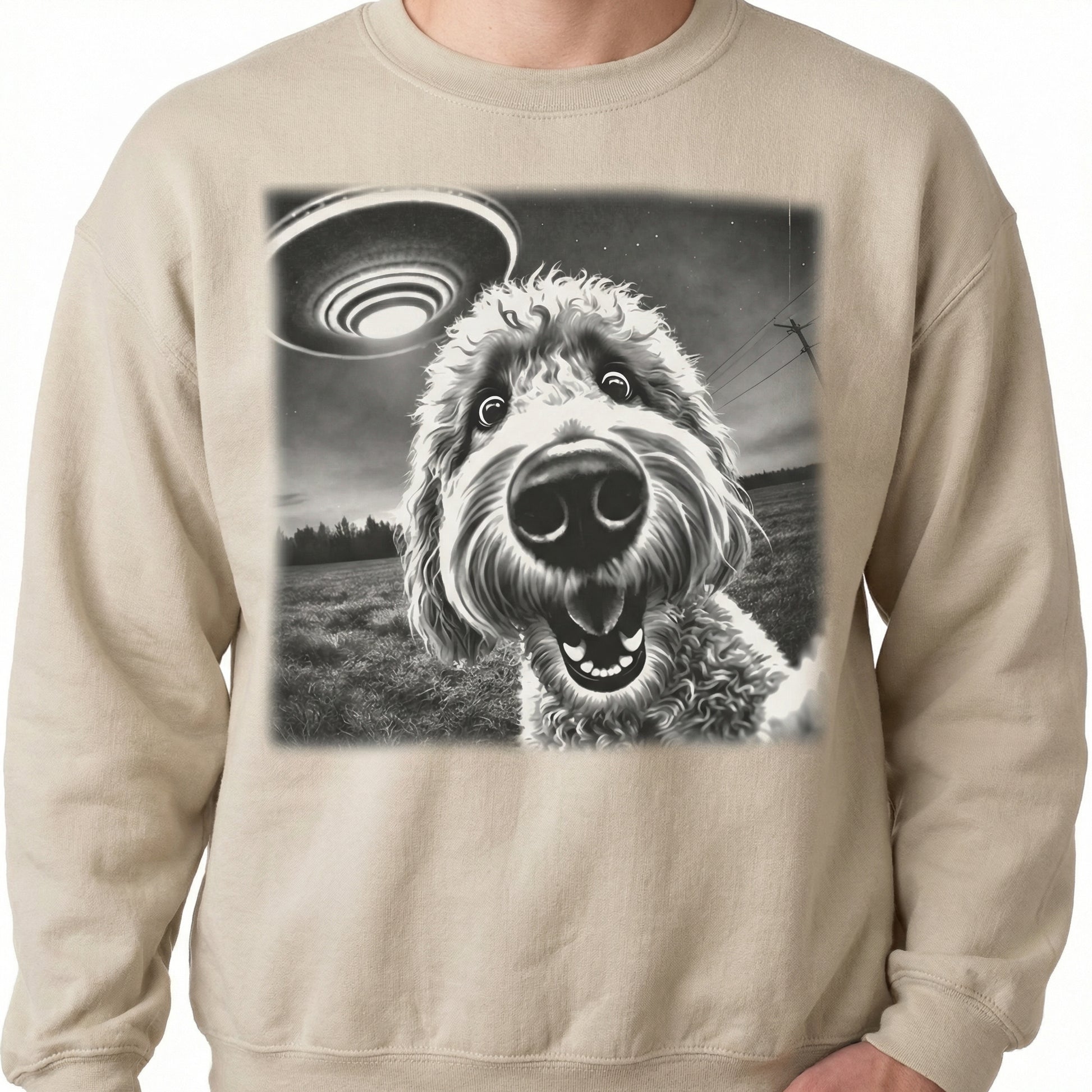 Vintage Labradoodle Goldendoodle UFO T-Shirt – Funny Doodle Dog Graphic Tee