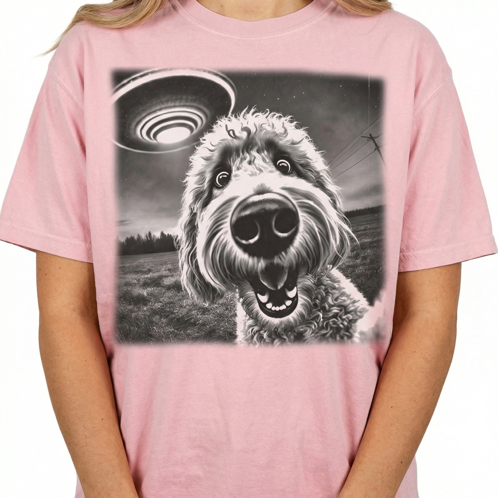 Vintage Labradoodle Goldendoodle UFO T-Shirt – Funny Doodle Dog Graphic Tee