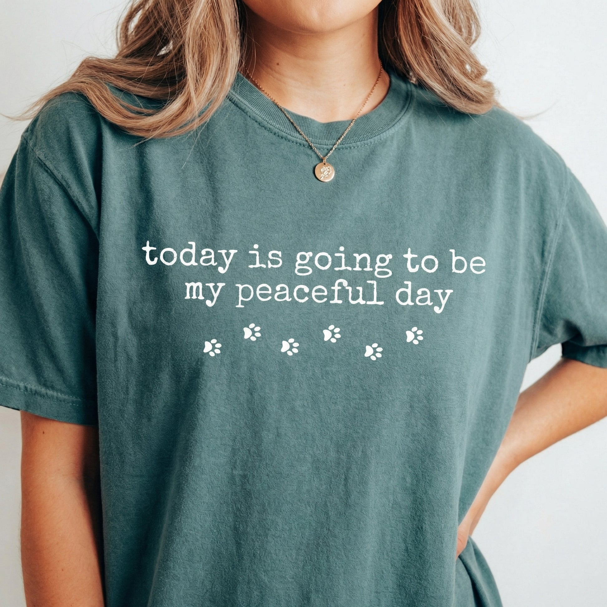 Walk for Peace Graphic T-Shirt – Walking Monks & Cute Dog Shirt – Compassion Mindfulness Gift