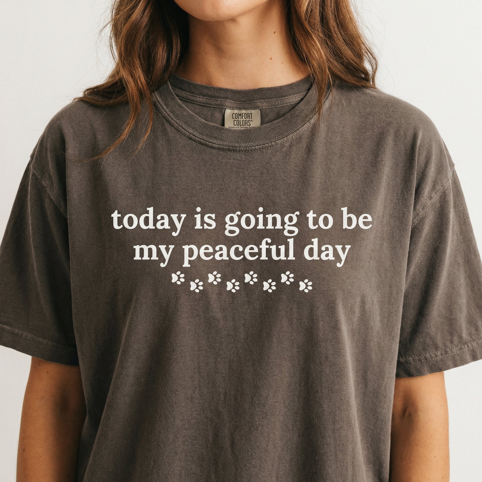 Walk for Peace Graphic T-Shirt – Walking Monks & Cute Dog Shirt – Compassion Mindfulness Gift